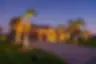 Lighting trees.webp