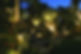 973-1920w_edited.jpg