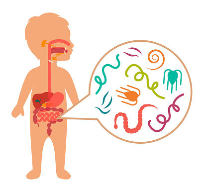 🪱 Worm Infestation (Helminthiasis) & Homeopathic Support🌿