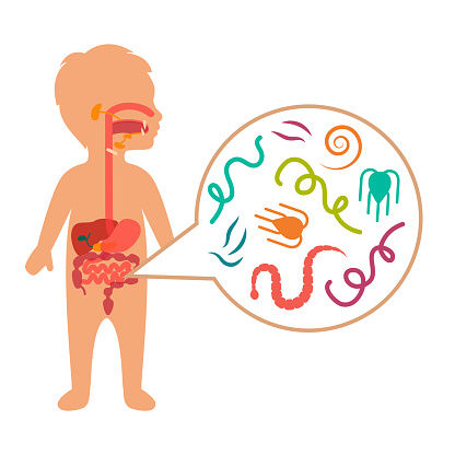 🪱 Worm Infestation (Helminthiasis) & Homeopathic Support🌿