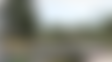 Wink News - The Forest Country Club Golf Course Going 'Green'