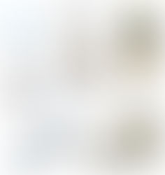 Florida Weekly - Norris Furniture & Interiors Beyond the pale