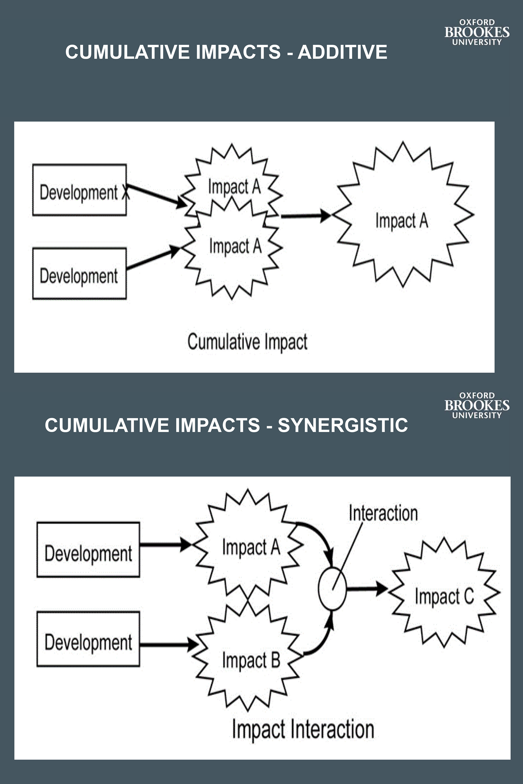 Cumulative Impact Assessment