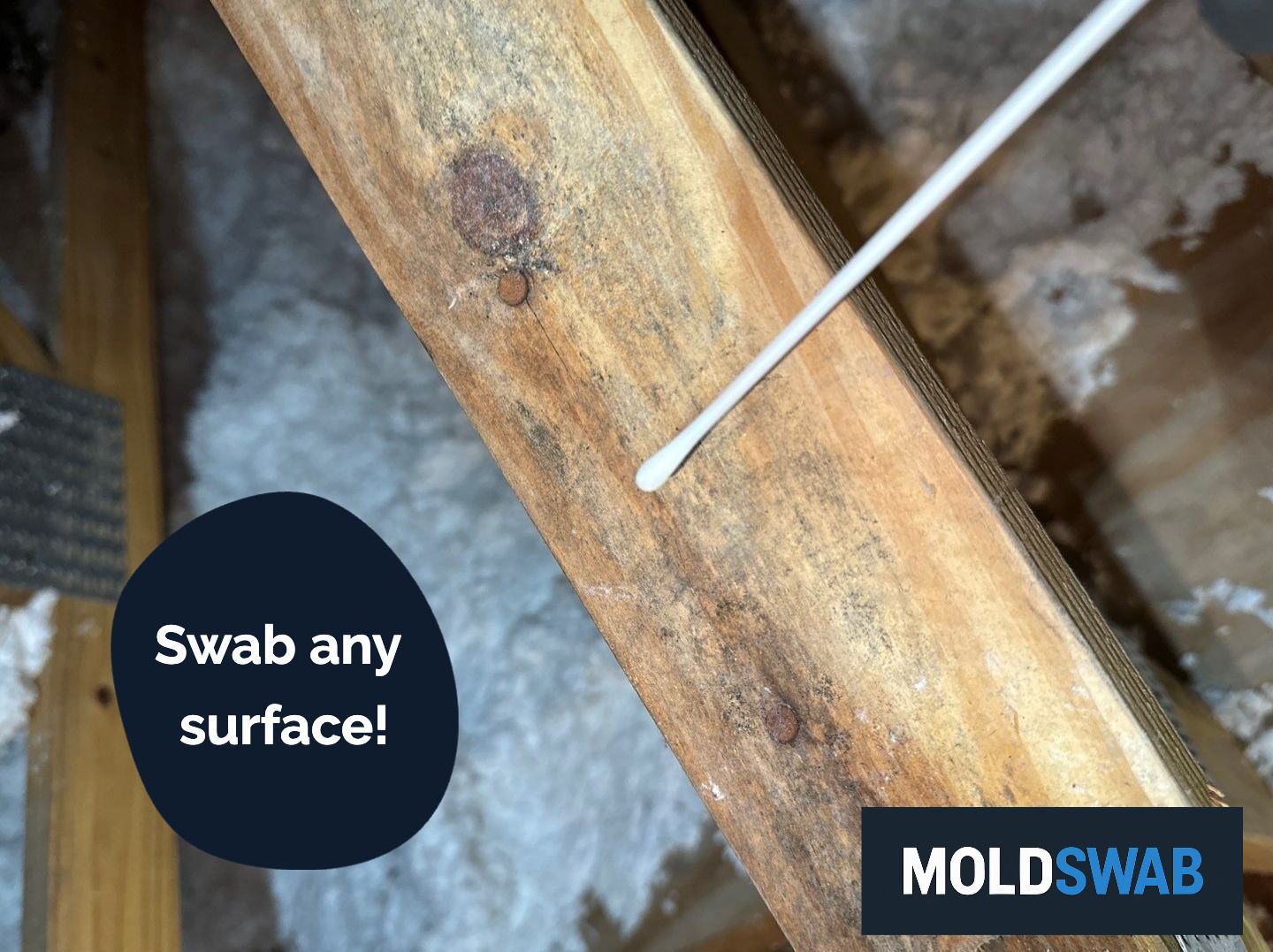 MoldSwab Surface Sample (3-Pack)
