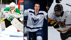 Plusieurs anciens du CANAM Beauce-Appalaches dans les camps de la LHJMQ