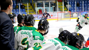 Les Condors s'inclinent pour débuter la nouvelle année