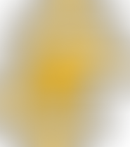 Résumé des Condors (multisports) de la fin de semaine