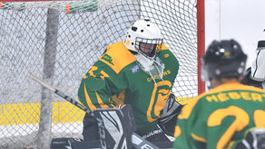 Fin de semaine à oublier pour les Condors (hockey)