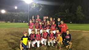 Les Cardinals sont champions de la Rive-Sud