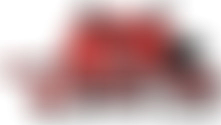 Victoire des Dragons (M15 D2)