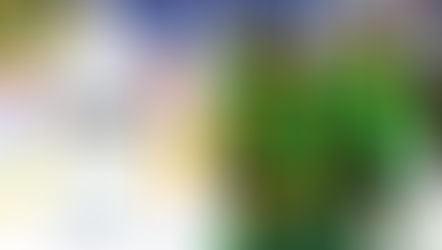 La première période et les revirements coûtent cher aux Condors