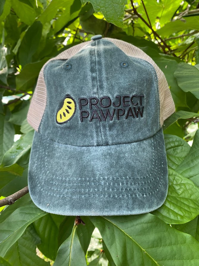Online Store Project Pawpaw online-store-project-pawpaw