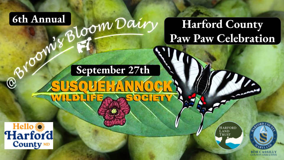 2025 Harford County Pawpaw Celebration
