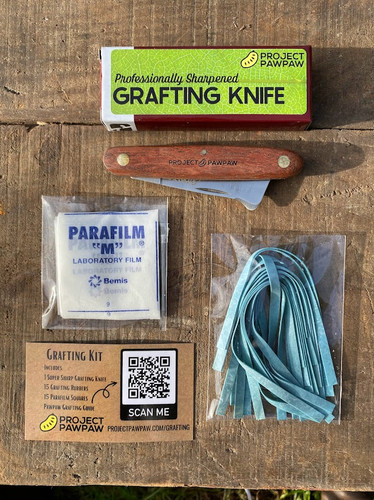 Grafting Kit | Project Pawpaw