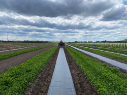 WI Orchard Weed Barrier