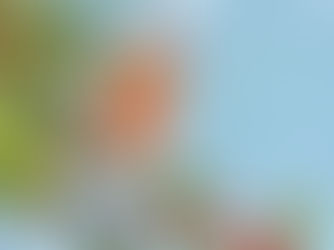 Great Northern Contemporary Craft Fair. Wow! Thank you so much!