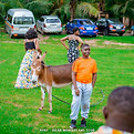 Young children playing in nature