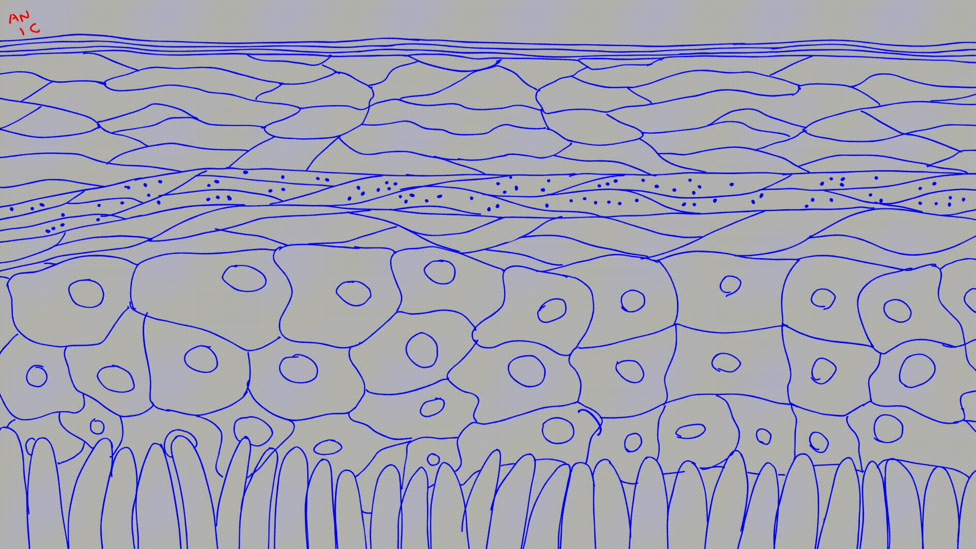 GIF3.gif