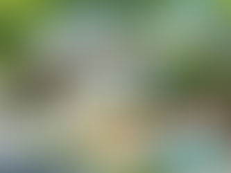 New Listing! 2408 Old Valley Lane, Duluth, Georgia 30097