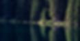 BuyBanner_edited.jpg