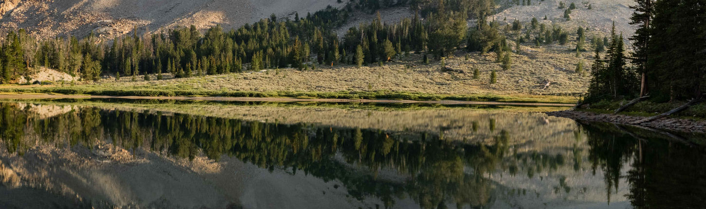 Morning light on Castle Peak.jpg