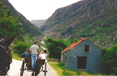 Scan0036_edited.jpg