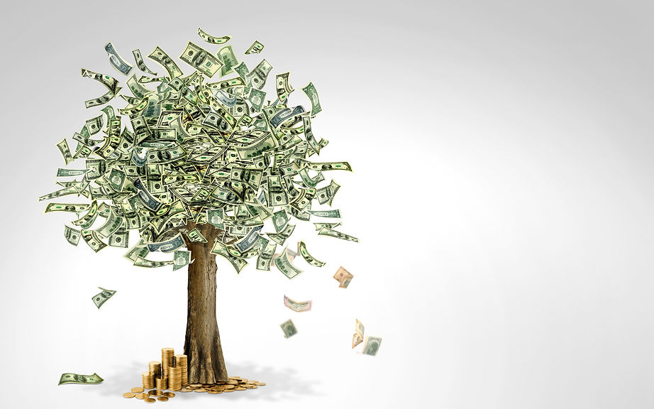 Money tree