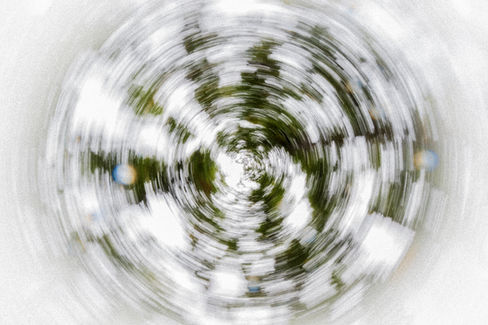 Spinning in the trees