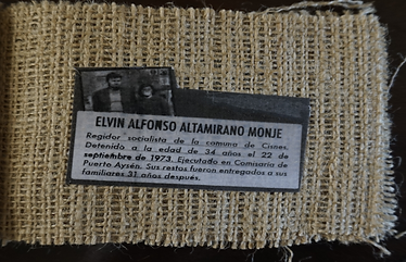elvin altamirano.png