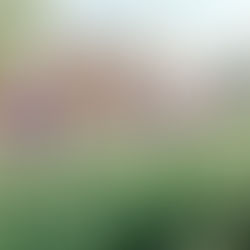 Planning Your Event with Ease