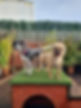 received_489734165987201.jpeg