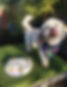 received_508289570859605.jpeg