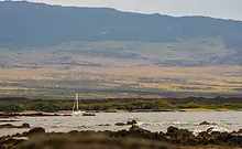 KND LOGO_edited_edited.jpg