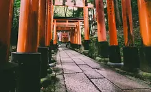 KND LOGO_edited_edited.jpg