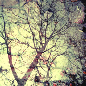 Photo-diaries #1 : mirror puddles