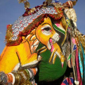 Jaïpur, Holi et éléphants roses