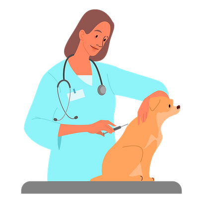 vet-doctor-giving-pet-vaccination-5311474-4453527.webp