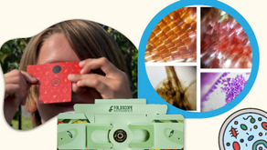The Magic of Foldscope: an Ultra-Affordable, Inspiring, Classroom-Ready STEM Education Solution
