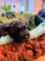 73930cae-e1a9-4d60-b2eb-e554ca8a6e94