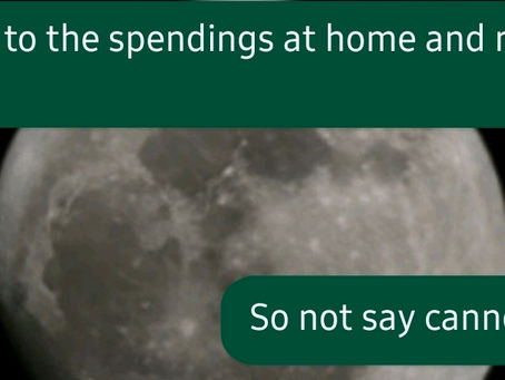 Case #004 - Spending due to spouse