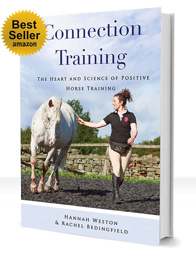 book-image-bestseller-2 (1).jpg