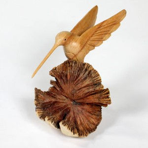 Hummingbird on Parasite Wood