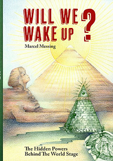 Will We Wake Up? (E-book)