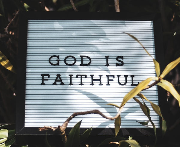 antonio-ochoa-796956-unsplash_edited.jpg