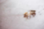 Thumbnail: Pink Cereus Cufflinks