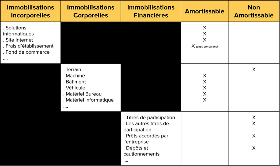Exemples de biens concernés par l'amortissement