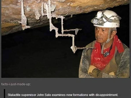 I giovani si ribellano