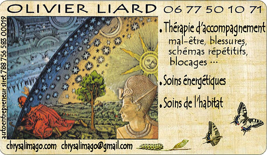 carte visite v08 tempus.jpg