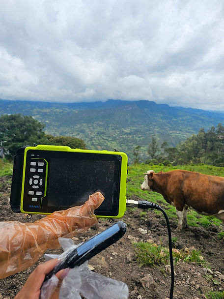 WhatsApp Image 2025-11-25 at 2.34.15 PM.jpeg