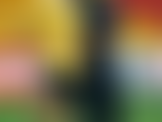 Farewell Pim Verbeek